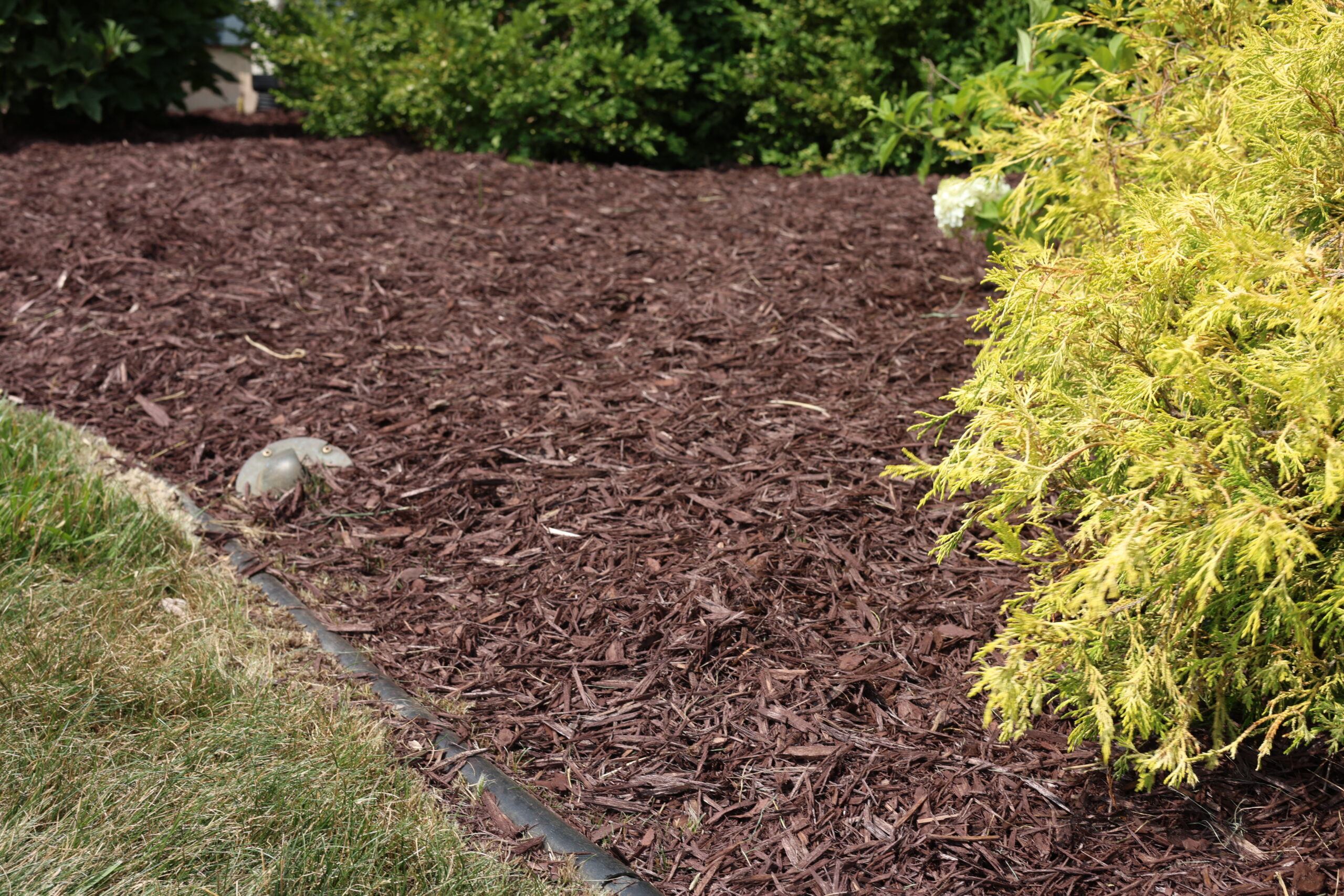 Fresh mulch covering a garden bed