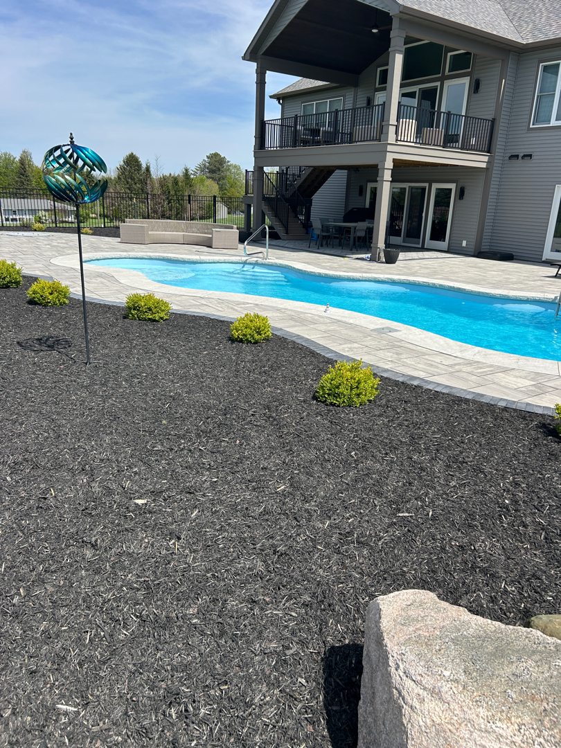 Completed Pool and Landscaping