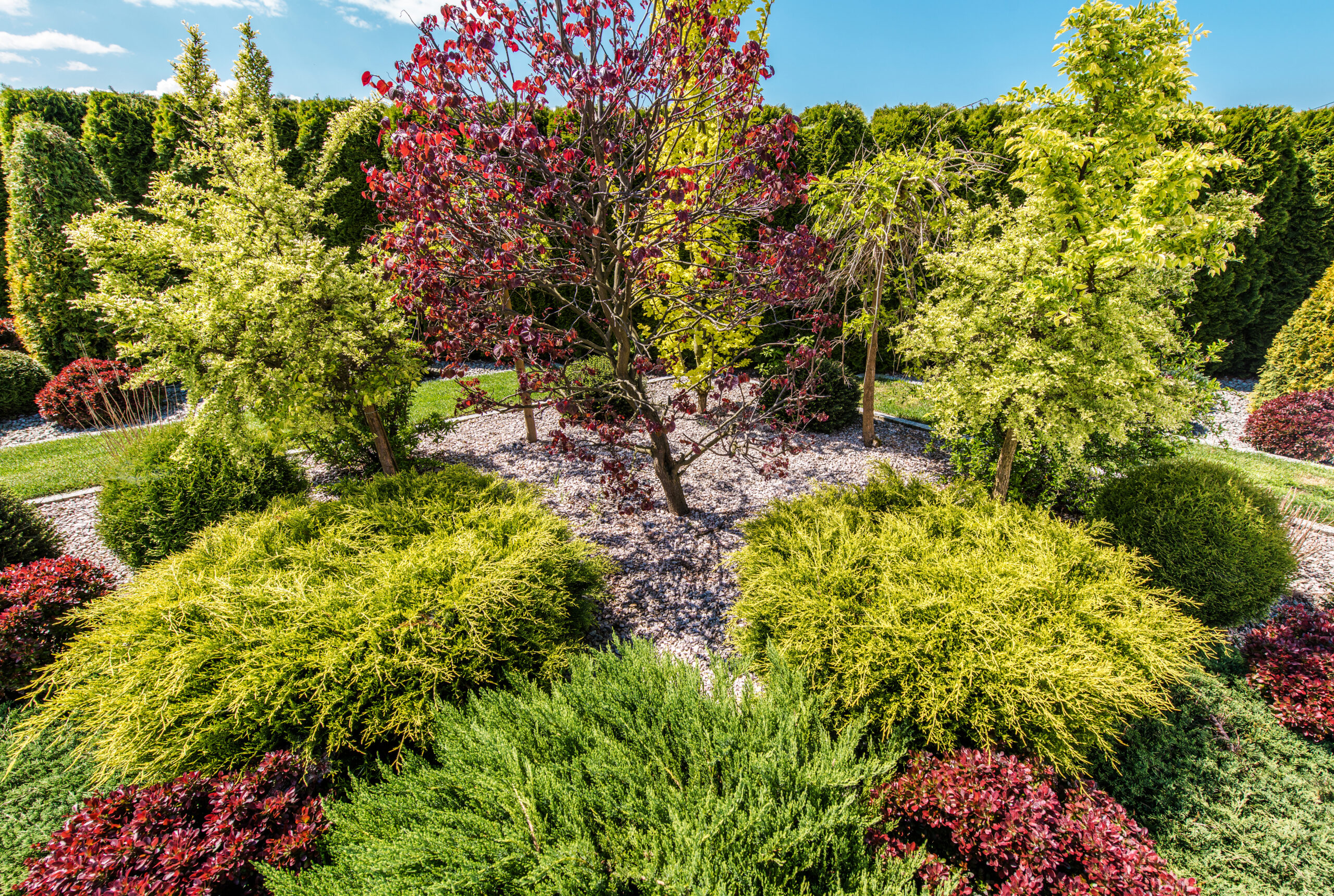 Backyard garden full of decorative trees and shrubs