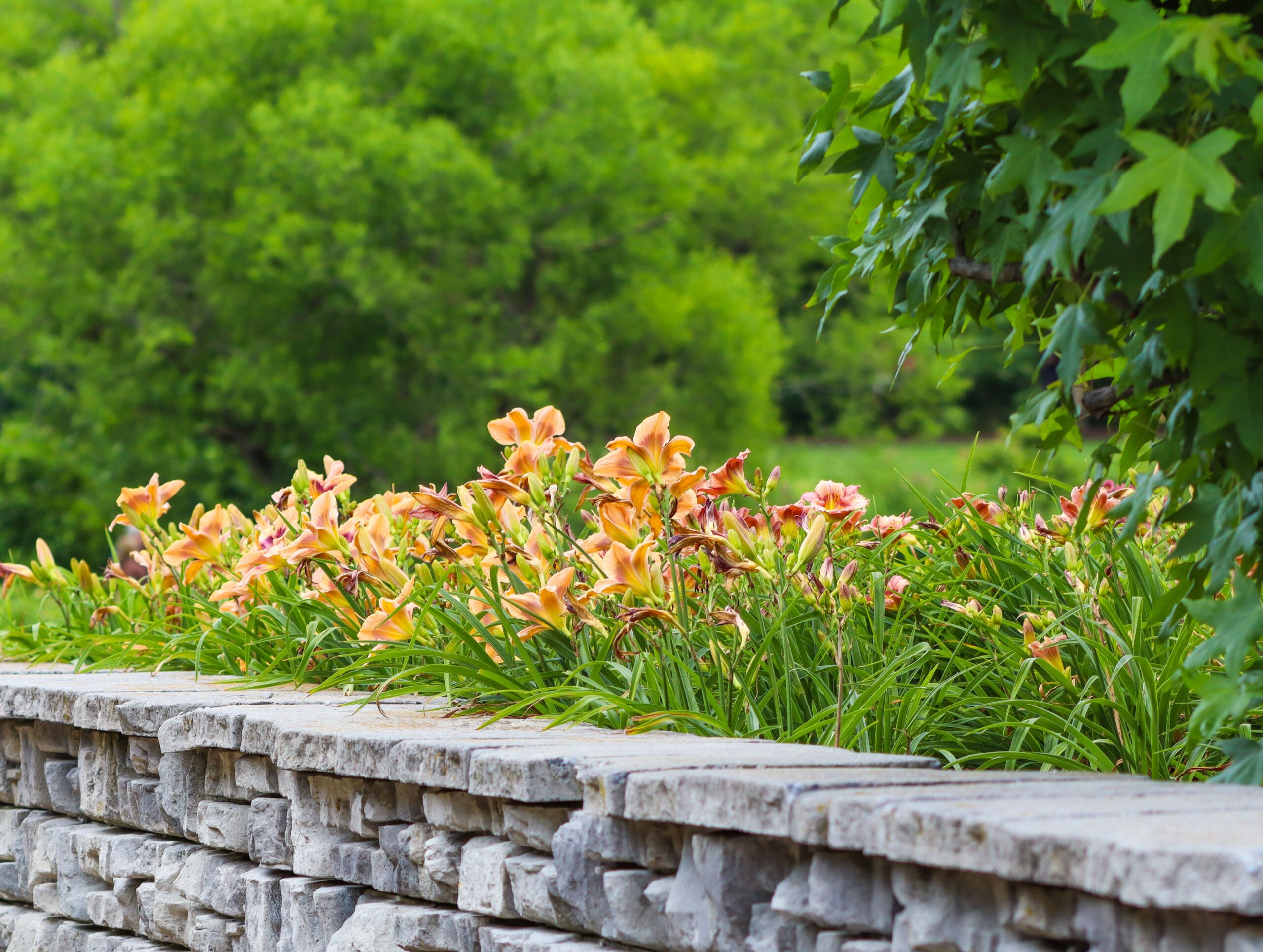 Retaining wall built along a flower bed