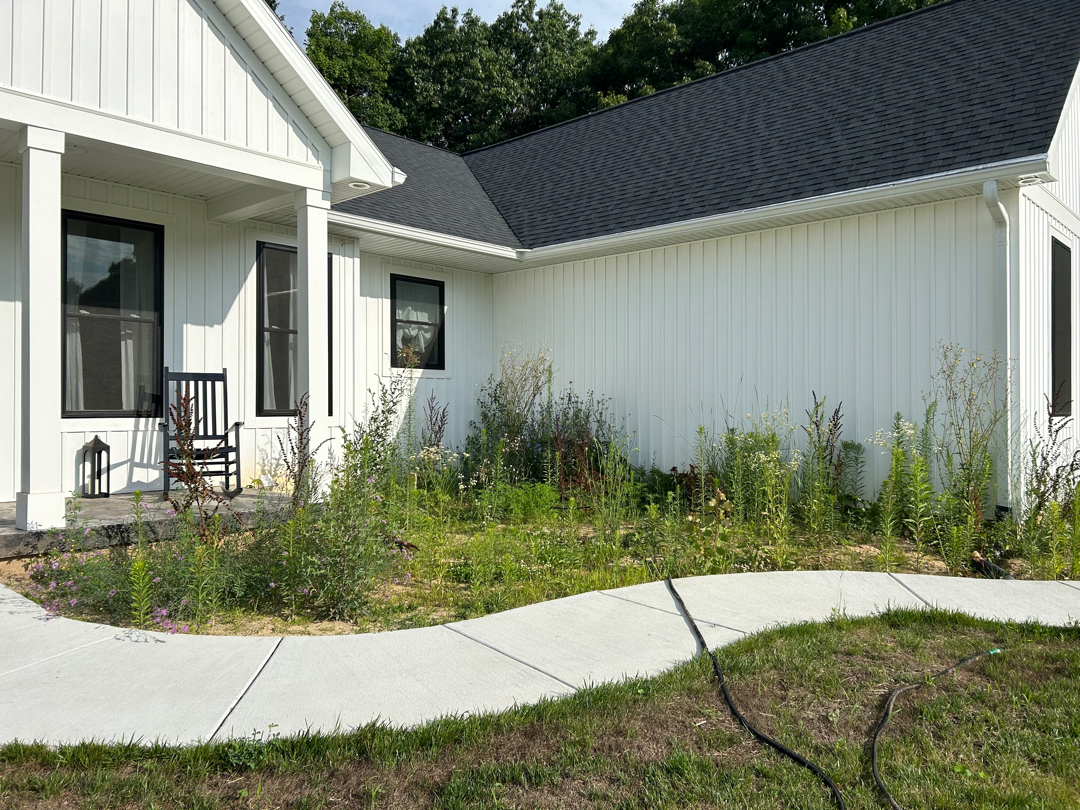 Garden full of weeds and grass - before picture