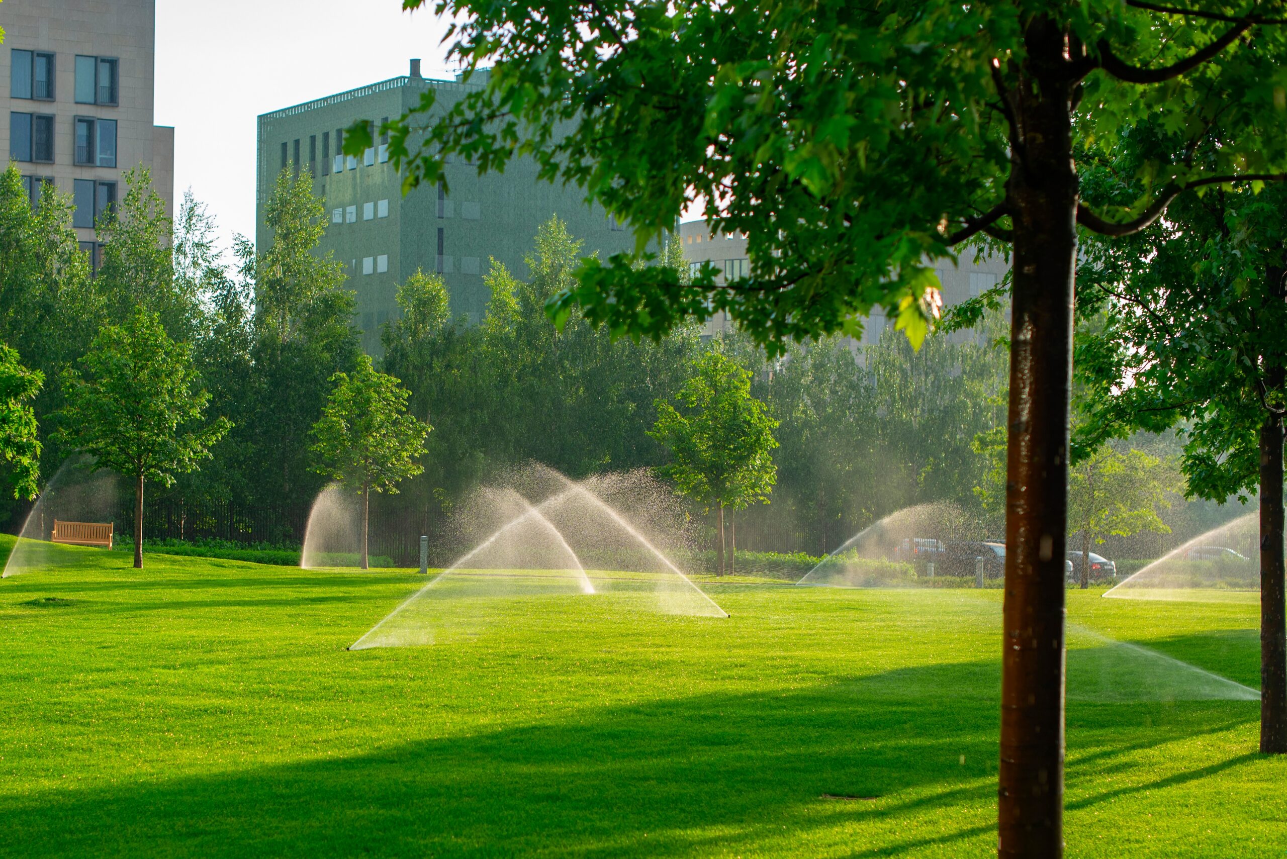 Sprinklers watering a green lawn